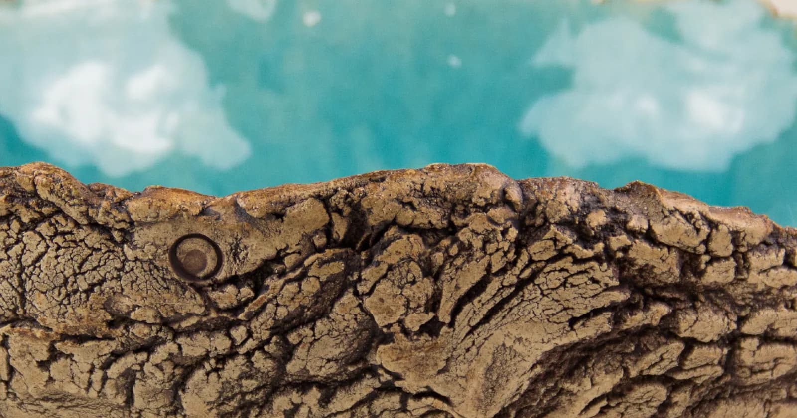 My web developer story – junior level