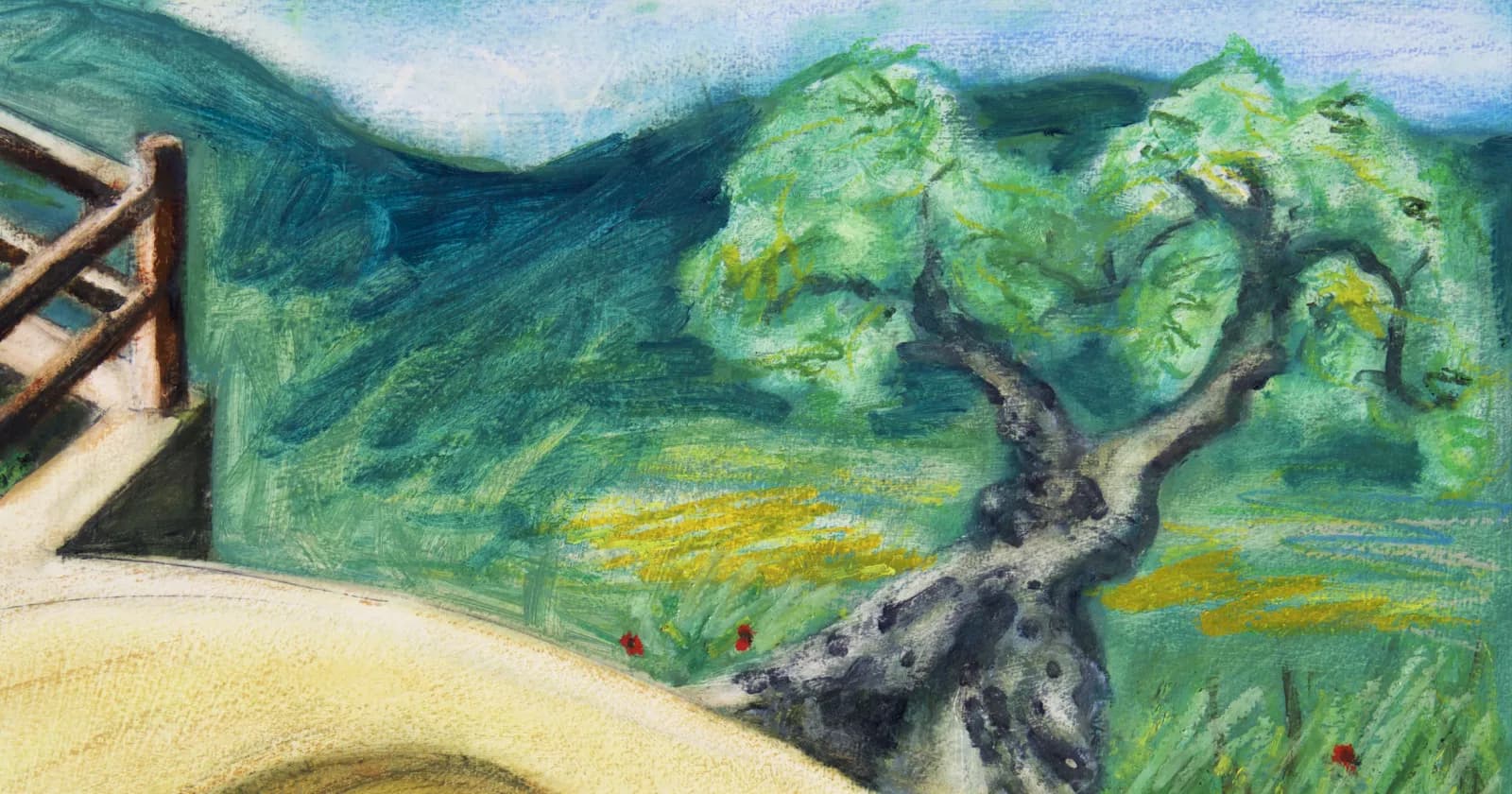 My story as a web developer – mid-senior level